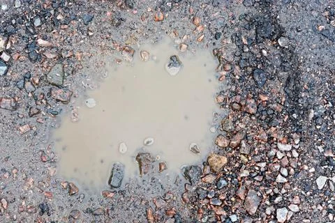 Puddle on the road. Stock Photos