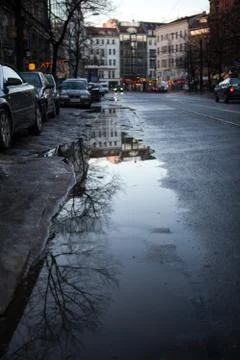 Puddle on the road with reflection of trees in the city Stock Photos