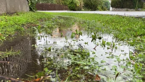 Puddle on the Roadside After Heavy Rain Stock Footage 318099712