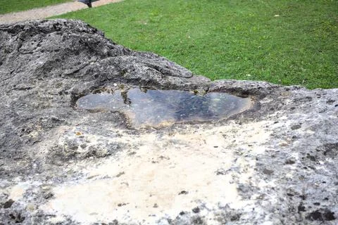 Puddle on a rock Stock Photos