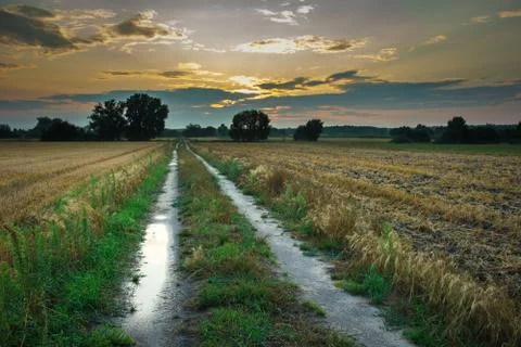 Puddle on a rural road through fields Stock Photos