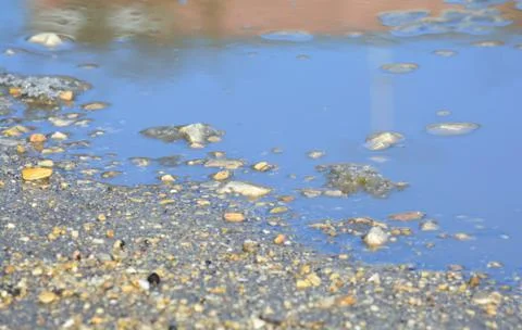 Puddle with small pebbles Foto stock