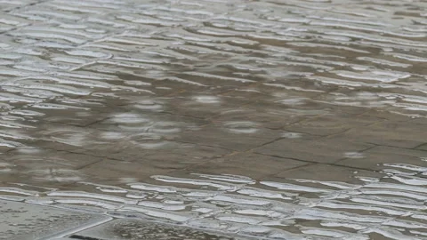 Puddle on street during rain Stock Footage 91460157