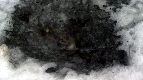 Puddle of Thaw Stock Footage 85744158
