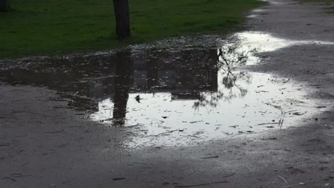 A puddle of water on the ground with a reflection of a building in it Stock-Footage 328516396
