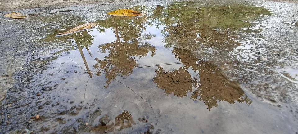 Puddle water Foto stock