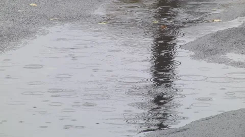 A puddle of water with ripples from the rain. It's raining Stock Footage 223816641