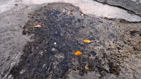 Puddle Of Water On A Road Stock Footage 262980461