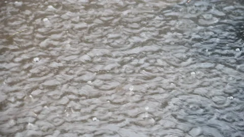 Puddle of water with splashing raindrops during a downpour Stock Footage 133024788