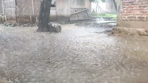 Puddles and rain Stock Footage 219737944