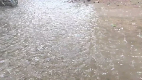 Puddles and rain Stock Footage 219739513