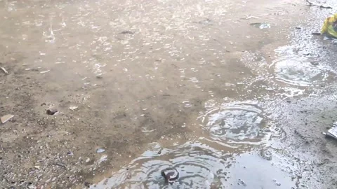 Puddles and rain Stock Footage 219739889