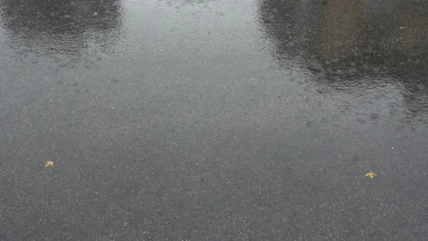 Puddles and rain road with shadows in 4K Stock Footage 150727870