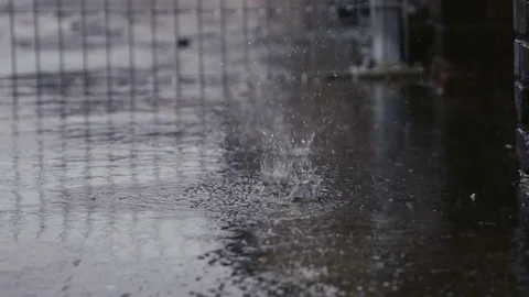 Puddles and Raindrops  Stock Footage 71812828