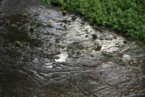 The puddles on the concrete Stock Photos