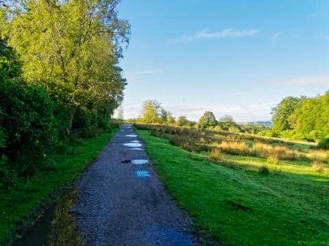 Puddles on a footpath Stock Photos