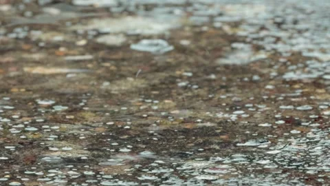 Puddles on the pathway Stock Footage 248868224