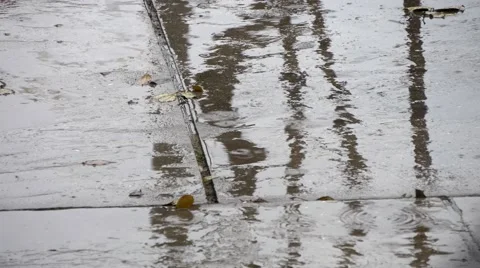 Puddles on the paved road. Raindrops and reflection of trees Stock Footage 65471295