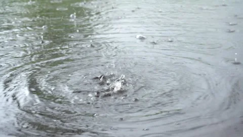 Puddles with rain drops fall on it Stock-Footage 304494061