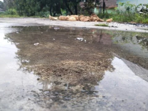 Puddles of rain Stock Photos