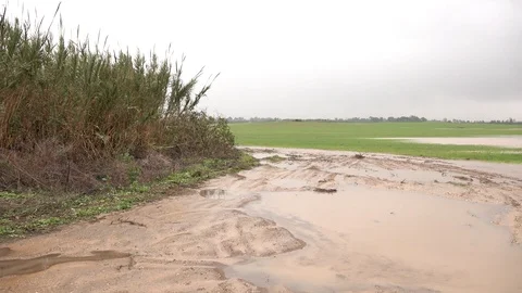 Puddles in rural area Video stock 99577186
