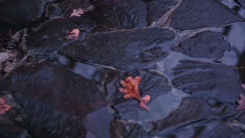 Puddles on the Stone Pavement 動画素材 106459184