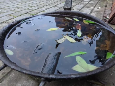 Puddles of water Stock-Footage 299762415