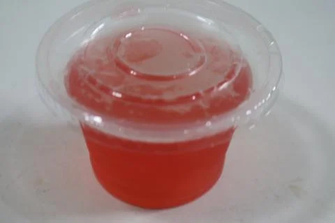 Puding 库存照片