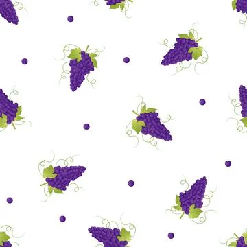 Pueple Grape on White Background. Stock Illustration