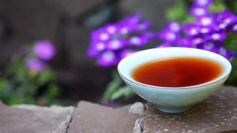 Puerpurpleflo Stock Footage 90231687