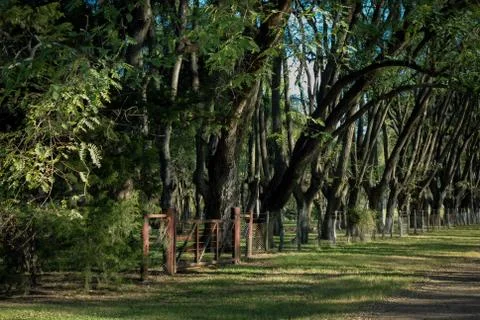 Puerta de acceso al rancho entre los árboles Stock Photos
