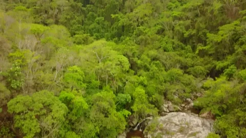 Puerta Vallerta Hidden Waterfall 動画素材 240408691