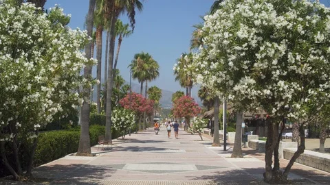 Puerto Banus boulevard Stock Footage 92747798