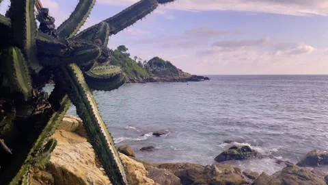 Puerto escondido Oaxaca mexico tropical beach ocean sea pacific coast Stock Footage 256092453
