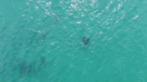 PUERTO LOS CABOS BEACH BCS MEXICO-2023: An Aerial View Of A Body Of Water Stock Footage 245845818