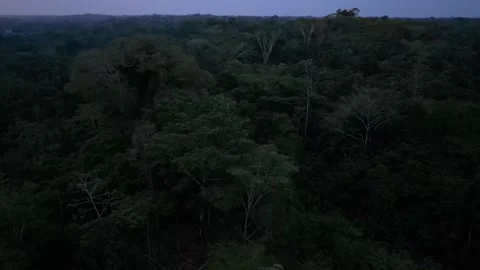 Puerto Nariño 動画素材 299750788