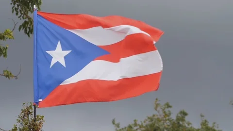 Puerto Rican Flag Waving in the Wind, 4x slow motion Vídeos de archivo 89970960