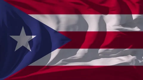 Puerto Rico Flag Loop Stock Footage 295735387