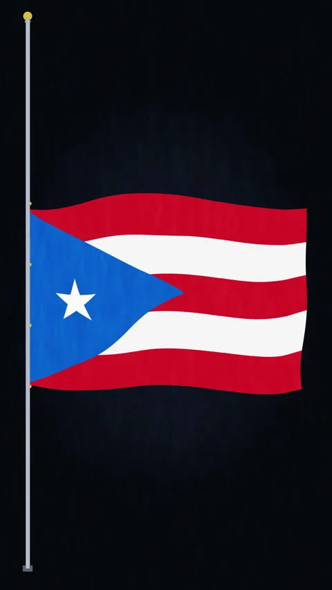 Puerto Rico flag waving loop footage, fabric texture animation Stock Footage 346638511