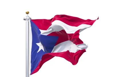 Puerto Rico flag waving looping with transparent background. Video stock 343548126