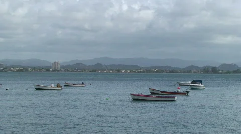 Puerto Rico Video stock 458166