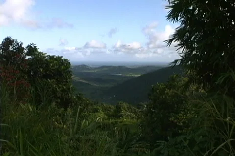 Puerto Rico Hills with distant sea Stock Footage
