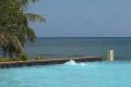 Puerto Rico - Horizon Pool, Beach and Palm Trees Footage