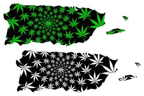 Puerto Rico - map is designed cannabis leaf Stock Illustration