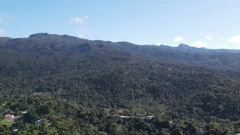 Puerto Rico Mountains Stock Footage 171174162