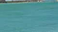 Puerto Rico - People having Fun in Jet Ski - San Juan Bay 2 HD Footage