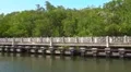 Puerto Rico - People Walking and Jogging in Pedestrian Linear Park HD Footage