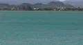 Puerto Rico - Power Sail Fish - Sword Fish Fishing Boat - San juan Harbor HD Footage