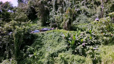 Puerto Rico Rainforest Stock Footage 202074649