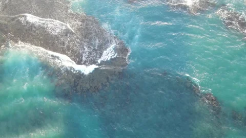 Puerto Rico - Reef Stock Footage 171136317